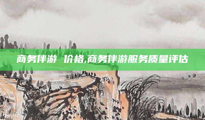 万宁商务伴游 价格,商务伴游服务质量评估