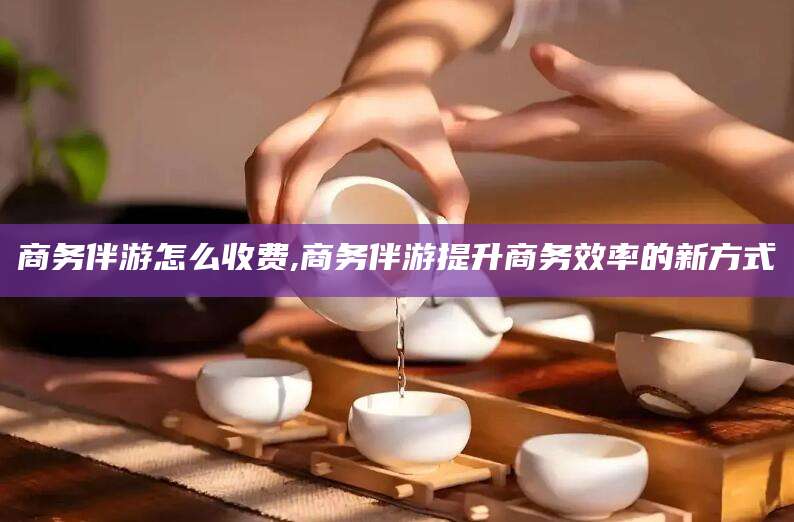 万宁商务伴游怎么收费,商务伴游提升商务效率的新方式